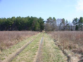 Mason Farm 3/16/2002